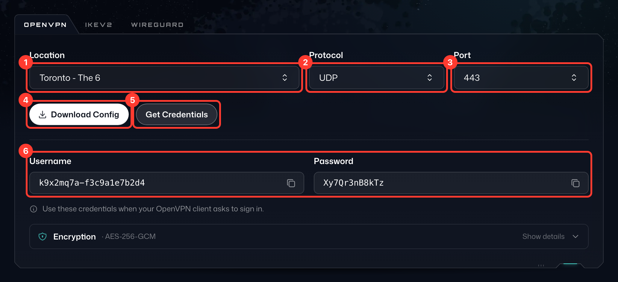 OpenVPN tab of the Config Generator, with Location (1), Protocol (2), Port (3), Download Config (4), Get Credentials (5) and the credentials (6) highlighted